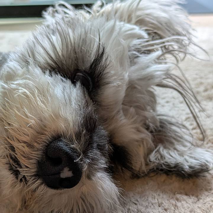 55058631 b6ca 4506 bbd5 7adb3c52a97c 1749873581562