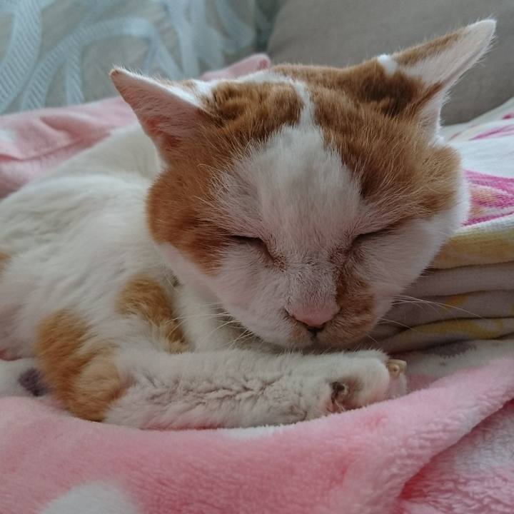 5505ae22 a2ea 4803 943f bbe464ef421c 1546574475440