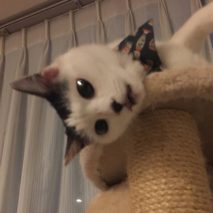 5505bef8 46c0 483f a395 16bef1c59bee 1511963279634