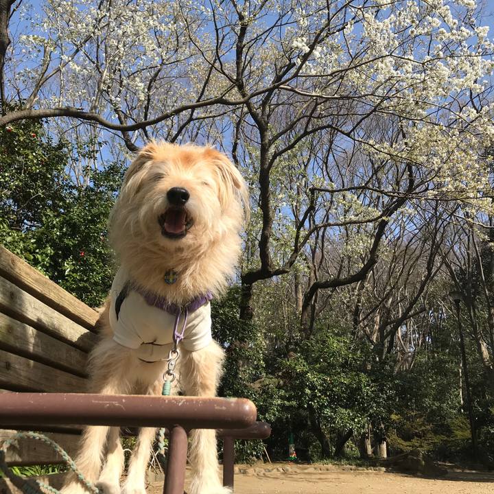 5505e42c 2aca 4a74 ae6b 801cc6a4aca7 1584791084579