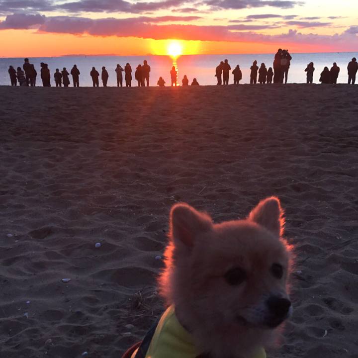 5505e7a1 dd82 43c0 9115 1700f6970640 1577869600195