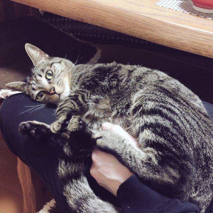 5505f838 0c09 4a75 9ccc 48d2c58ed387 1516285200652