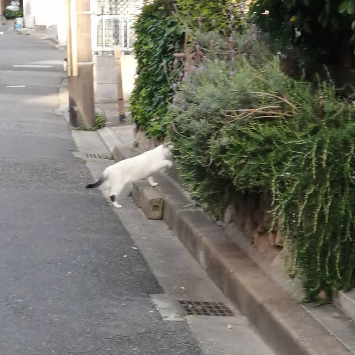 5505fc2c 70c2 4129 88f5 38ae35f704d6 1623185329371