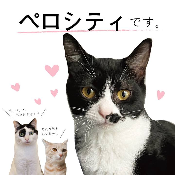 55063a43 4704 453a a417 34928fabcd77 1707440647678