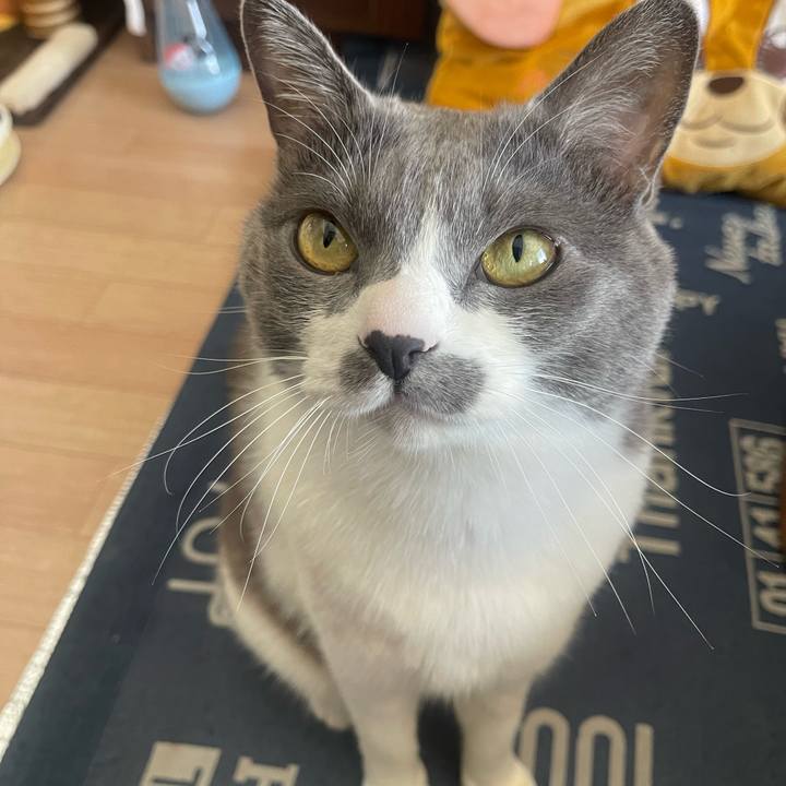 55064dc9 f67f 46a4 8a5c 462bcbdafdd5 1741483589369