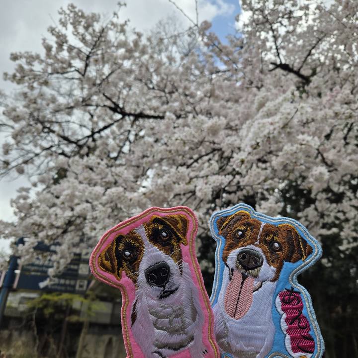 5506689d b7ef 4dc9 b9fb 98f7bc8b84f7 1774575550789