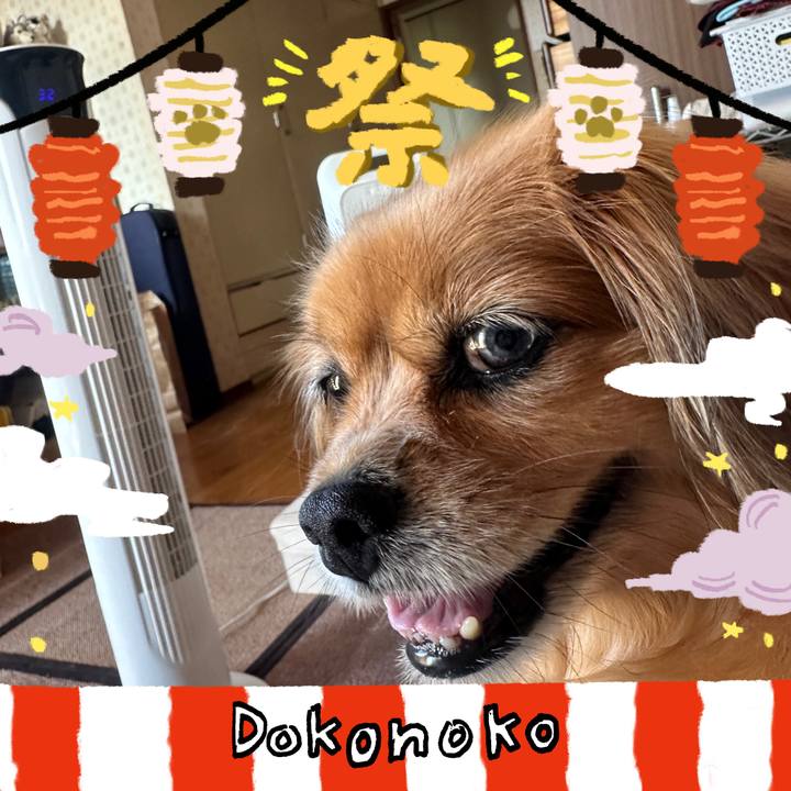 55067a8b bede 4580 9ca7 6cce9996b113 1723285900776