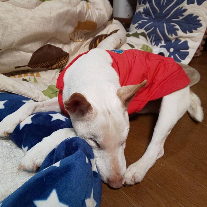 55069713 055a 4eab 8cb9 7b115b3ea60f 1553131869244