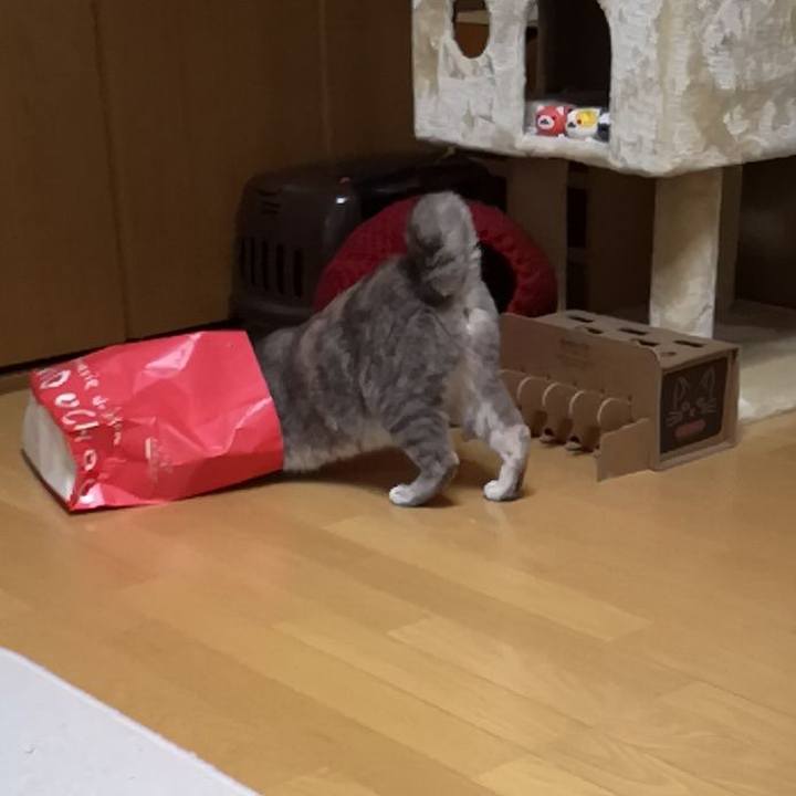 5506a19d b614 4b29 beb8 d47ea7cd3dd1 1560216440017