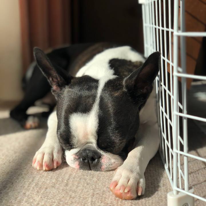 5506bae8 da47 4d79 be06 3cd2ca0b0052 1520811253817