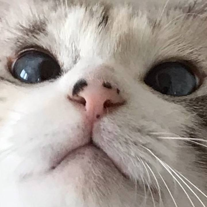 5506f4c7 1a51 4079 961c 055010f39356 1554465847462