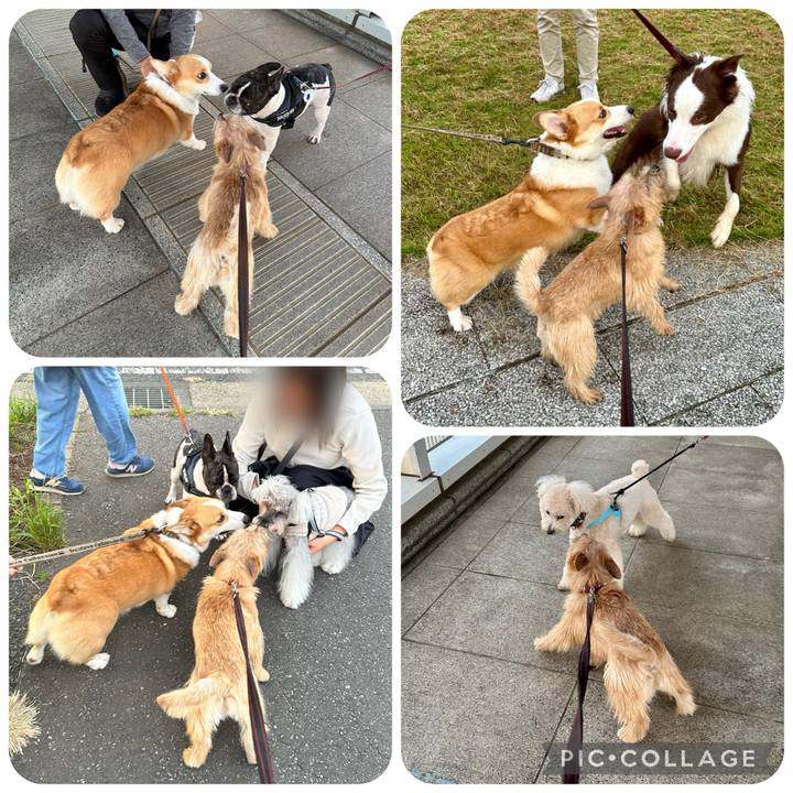 55070031 78da 467a a3bd 25bdb847e189 1729095396865