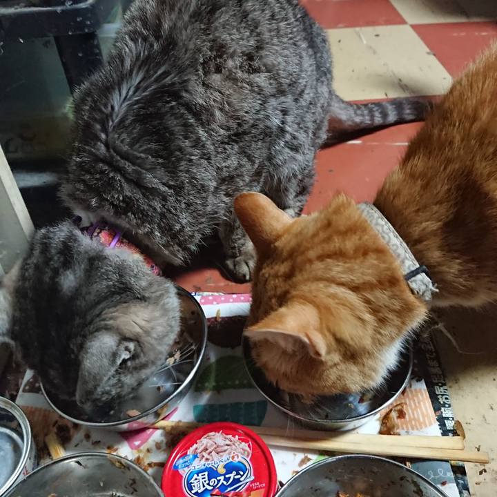 5507470b a61a 4b94 bb09 73226305c95d 1593202719253