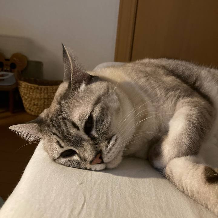 55076c65 4ef2 4a6c 8339 e28b42bfde7d 1755957906601