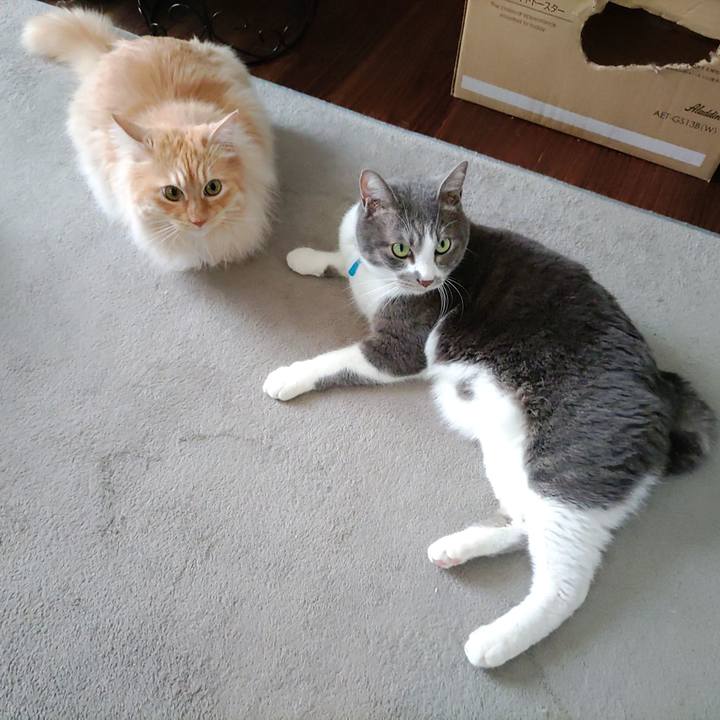 55079385 bbb3 49fe b3bd 33d269d88627 1716355193166