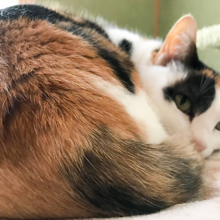 550793d0 9239 4067 9a59 0e06759aea6d 1523714802772