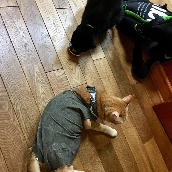 5507a2b6 59c6 4248 aaa2 77724bc45b13 1533045650781