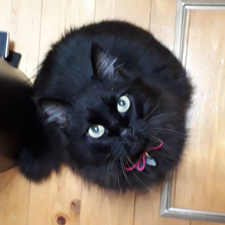 5507c23f 01b3 4b58 bdf4 bf1bfe458c11 1519891710131