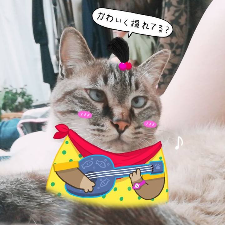 550821d0 3359 4e51 bb70 a9c7beedd24c 1562590706823