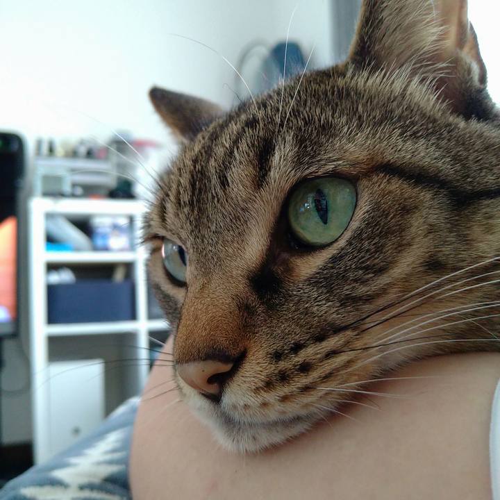 55083b2d 672c 4c16 a13c 6095ad201bd2 1723876699036