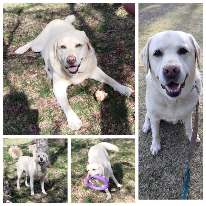 55085c5c 8e89 431f a1d4 68b5a6cac5f1 1683189462931