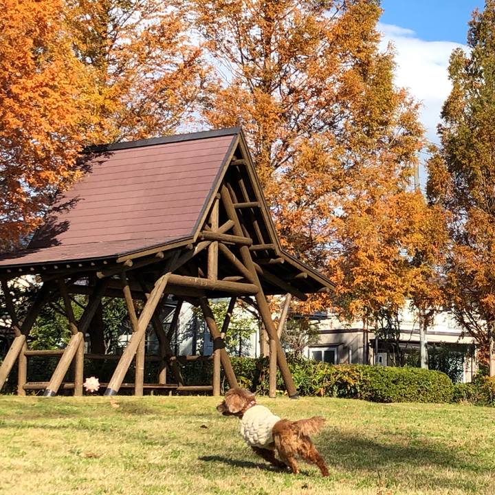 5508ac0b 0466 4288 a622 8bae7ffd3d89 1573814094613