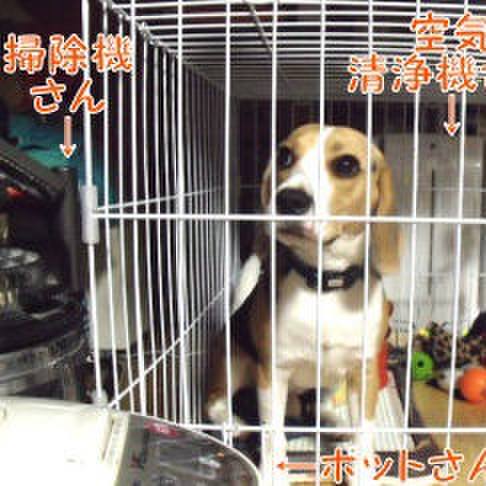 5508e07e d1d6 401e bcd2 ce35c611889c 1686171439871