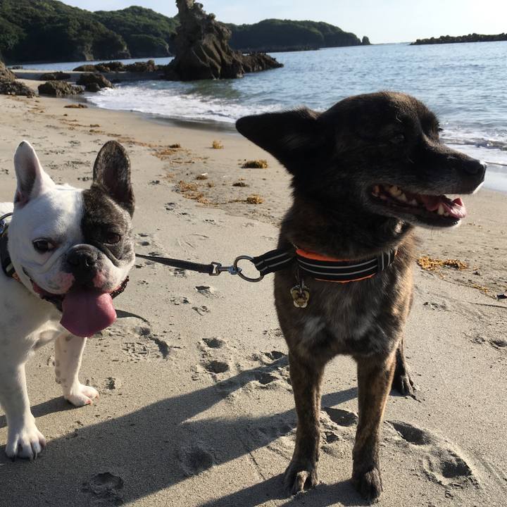 5508e2ea 6583 4f81 a177 63f5014b879b 1529932192432