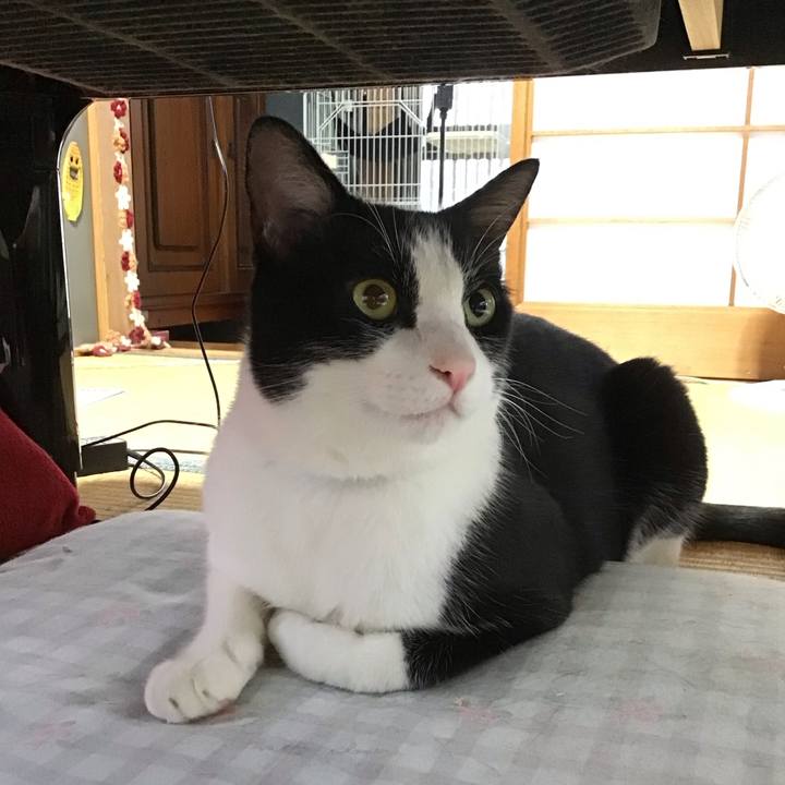 5508ec03 56a9 4e1a 80a3 9a3b2dc8a6c0 1690458580703