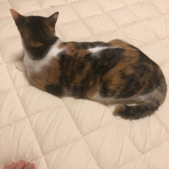 550931d4 bac7 46b2 adec 89671328b11d 1605719790589