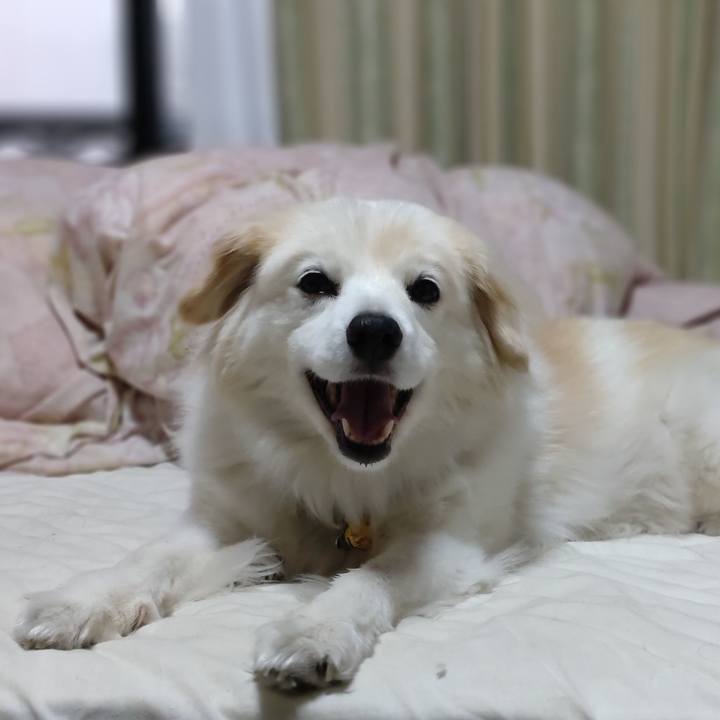 55099833 0bdb 4a5a a415 12bae2967e53 1653386483446