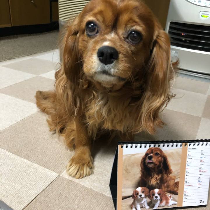 5509a43e fe80 4b59 8d4d 8a80d760be1e 1643667596395