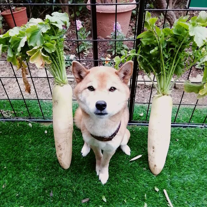 5509e0d8 eb60 4ca5 9be0 5899f76fb07f 1580108240057