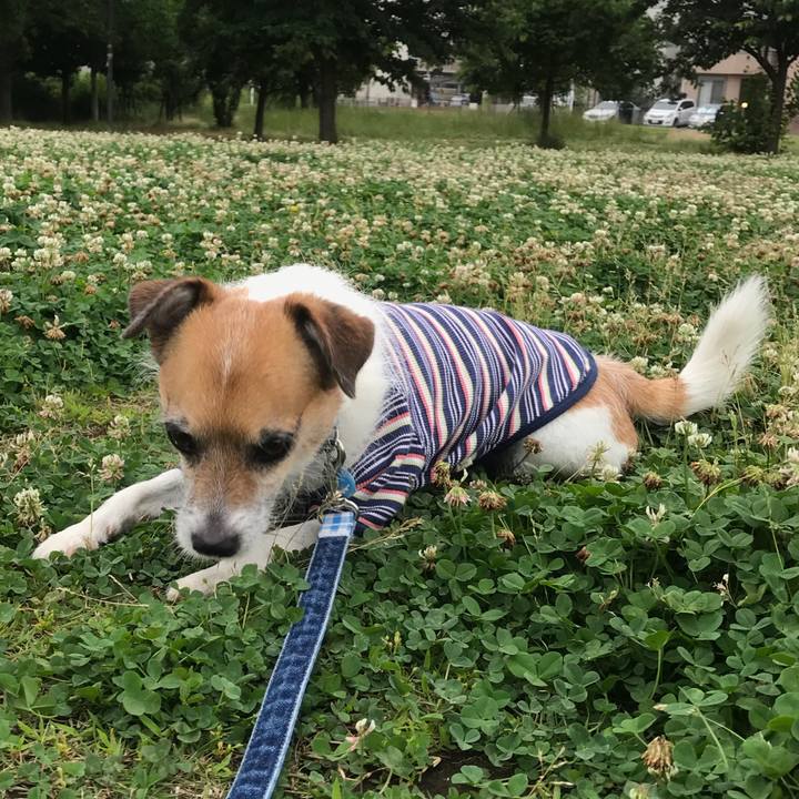 5509eb28 62d7 4be8 9f12 dfb79966324c 1528588886702