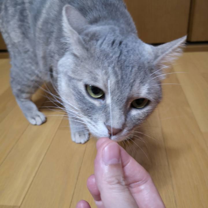 5509f699 cc41 4ea6 9882 1a7bf8e2687f 1563545409692