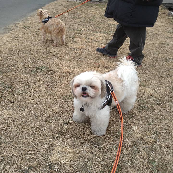 550a117e ac88 4eb1 9e0d 178eb50dd65a 1610427476378