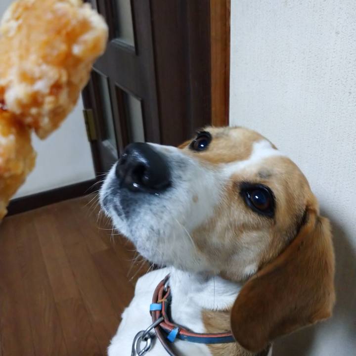 550a47e1 9586 412a 818e dda5bb0fdd38 1611389269331