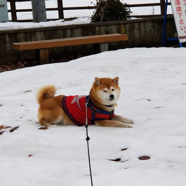 550a4d28 26e2 437b 8f2e f325713b061c 1552278626425