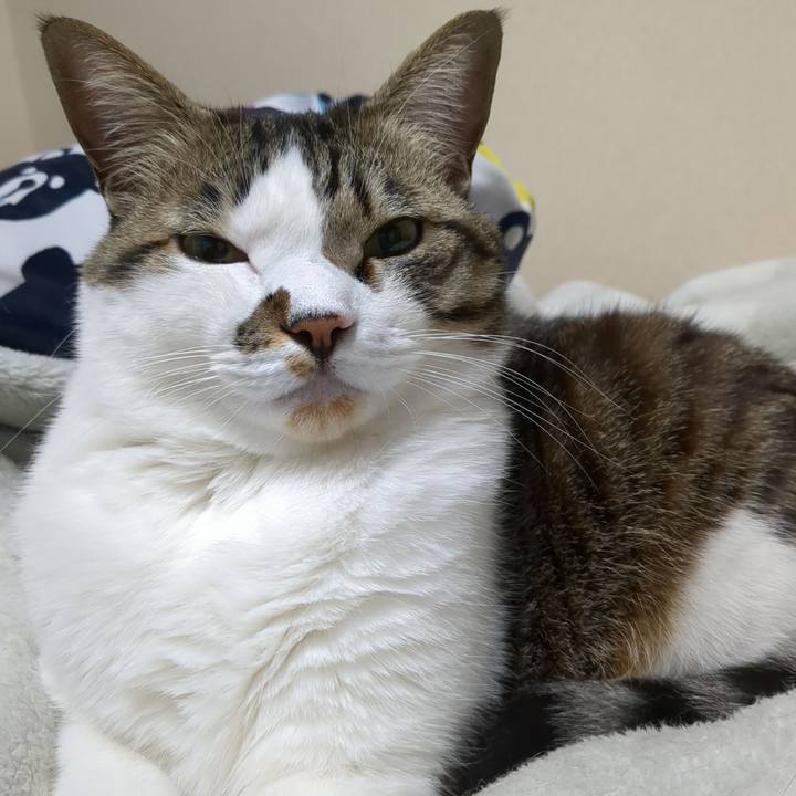 550a593f 6c48 457f 9333 874d33c4a53f 1678799035828