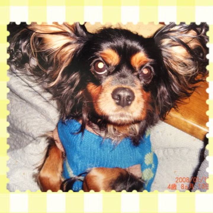 550a641f 095d 4586 9319 4ae9dd8fdcbe 1508423094240