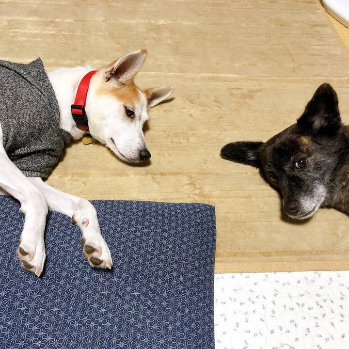 550aa5fe fc99 461d 9cd3 4c3cd1fbc608 1601385919505