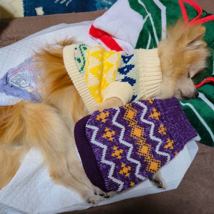 550af20b a746 4716 870f 0219a2a3cdad 1734216998708