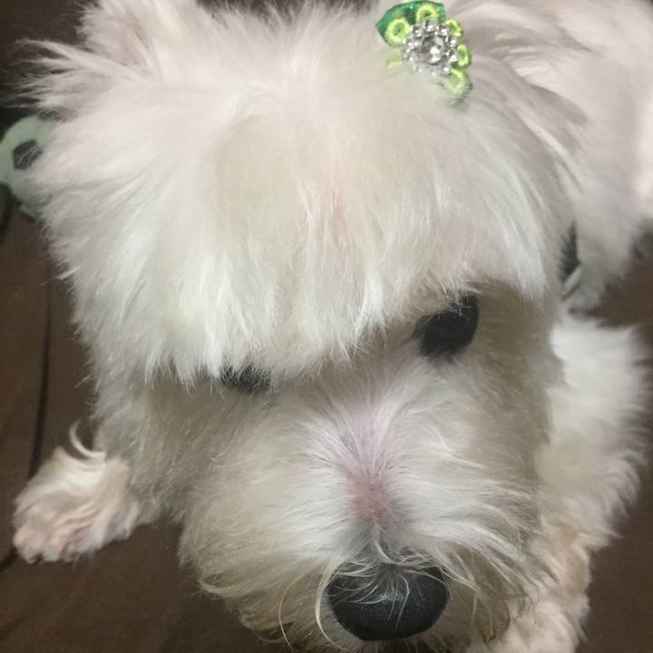 550b1de5 b3c1 47d5 9724 4f8c2b336f03 1537275242137