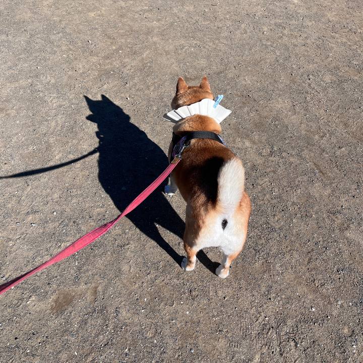 550ba9ee 0224 4614 a5e0 4d3275d9d4fd 1705286949236