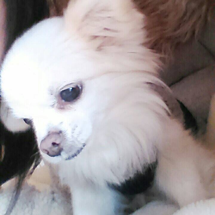 550bb2f5 525d 41e4 be21 dd75105bdc71 1519447715363