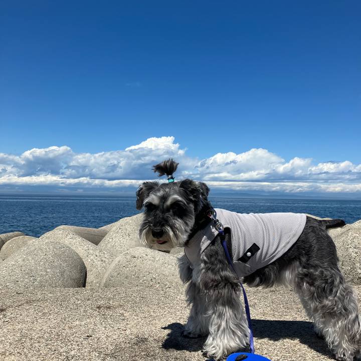 550bc033 1172 4c8b a6ee 31c750dcb517 1715871050205