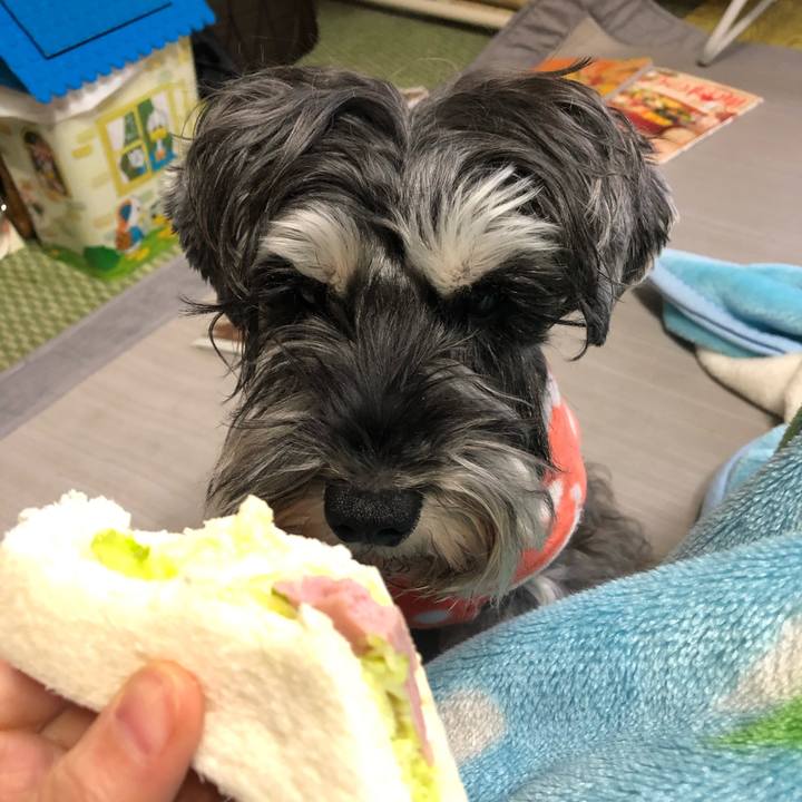 550bec1d 613a 482c 83db 586afb386a92 1580604003444