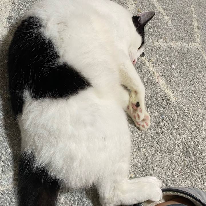 550c3bca 1360 46b8 b1a1 a40803b78bed 1638921849936