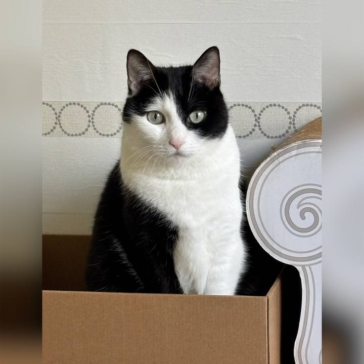 550c5591 b035 451f 957a bbca7134f984 1741822026314