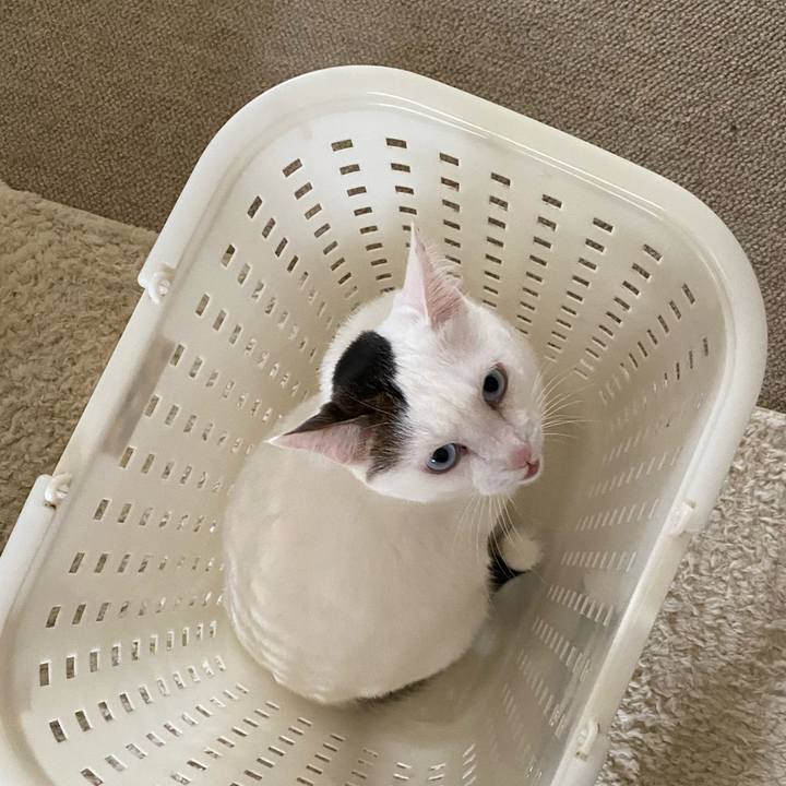 550c6deb 92f2 4dc3 94e0 de29f3c9e617 1665700641396